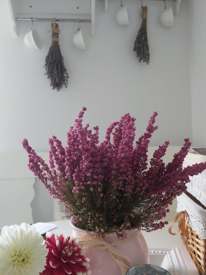 Appartement Lawendowe Love Rynek Rzeszow Close Center Extérieur photo